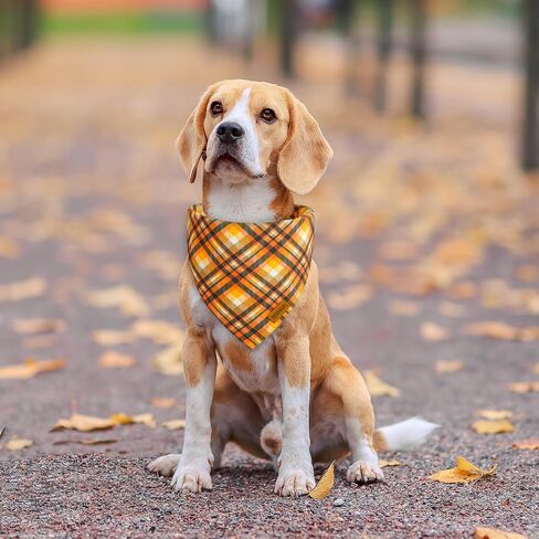 Christmas Dog Bandanas - 2 Pack Plaid Dog Bandana | Reversible Green and Red Pet Scarf for Boy & Girl | Premium Durable Fabric | Holiday Bandana for Medium and Large Dogs (Large) in Kuwait