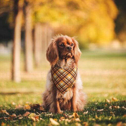 Christmas Dog Bandanas - 2 Pack Plaid Dog Bandana | Reversible Green and Red Pet Scarf for Boy & Girl | Premium Durable Fabric | Holiday Bandana for Medium and Large Dogs (Large) in Kuwait