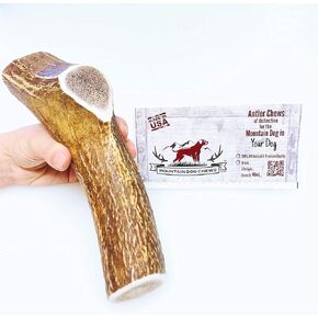 X-Large Whole Elk Antler Dog Chew - Grade A Premium - Organic - Made in USA - No Mess