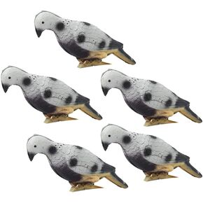 5-Pack Realistic Bird Imitation Target, High-Density Foam Material Target, Eva Bow Material Archery Decoy Suitable for Outdoor Hunting and Shooting and Indoor Decoration