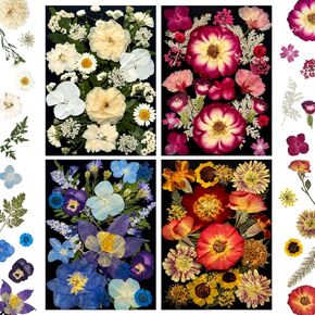 192Pcs Dried Pressed Flowers for Resin, Assorted Real Natural Bulk Dry Floral Leaves for DIY Art Crafts, Epoxy Molds, Jewelry, Soap, Candle Making, Nails Decors