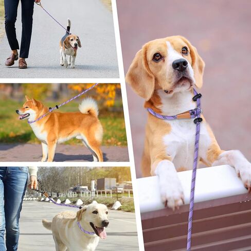lynxking Slip Lead Dog Leash Reflective, Heavy Duty Comfortable Strong Rope Leash for Large, Medium Dogs, No Pull Pet Training Leash (Light Purple, Large 1/2in x 6ft-Slip Lead) in Kuwait