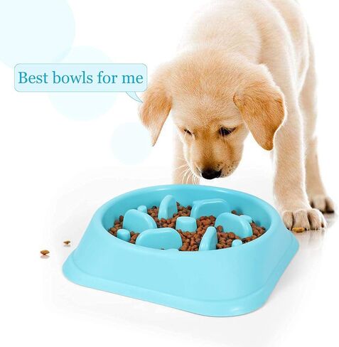 Slow Feeder Small Dog Bowls Anti-Slip Puzzle Bowl Feeder Interactive Bloat Stop Dog Bowl Anti-Choking Dog Bowl for Small and Medium Dogs in Saudi Arabia