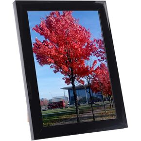 Medog 20x30 Picture Frame Black Display Pictures 20x30 Poster Frame Display Studio Gallery 20x30 Picture Frame Black Wall Hanging Poster Frame, Black, 1 Pack