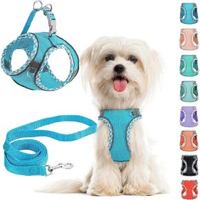 Small Dog Harness and Leash Set, No Pull Adjustable Reflective Breathable Mesh Step in Dog Harness Easy Walk Dog Harness for Extra Small/Small Medium Dog Cats Puppy Outdoor Hiking Training (Pink S)