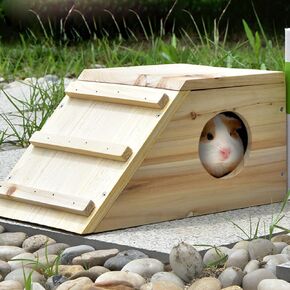 Wooden Hamster Hideout for Small Animal,Gerbils Chamber Hut with Ladder Habitats Decor,Wooden Hamster House with Assembly Instructions