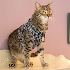 Ninja Cat (Green, Harness)