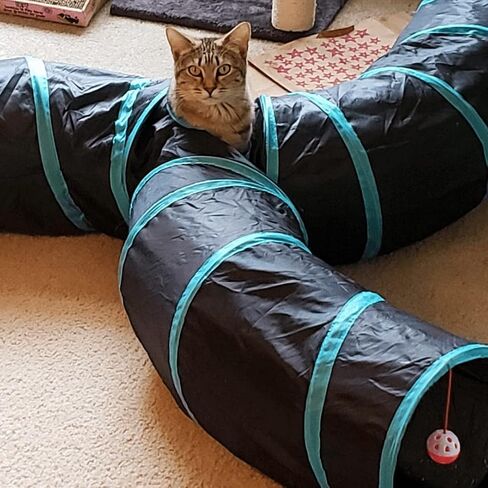 Cat Tunnels, Pet Ferret Rabbit Bunny Tunnels Tubes Subway Habitats, S-Style, DIY Cat Peekaboo Maze House Tent Bed, Kitten Interactive Toy (YY Type Tubes) in Kuwait