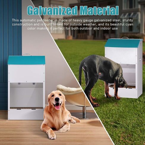 Galvanized Automatic Dog Feeder Large Breed 50 Pounds, Metal Dog Food Gravity Feeder Extra Large Self Feeding Dog Food Dispenser Automatic Pet Feeder, for Indoor or Outdoor Use in Saudi Arabia