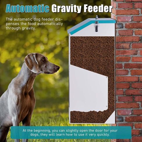 Galvanized Automatic Dog Feeder Large Breed 50 Pounds, Metal Dog Food Gravity Feeder Extra Large Self Feeding Dog Food Dispenser Automatic Pet Feeder, for Indoor or Outdoor Use in Saudi Arabia