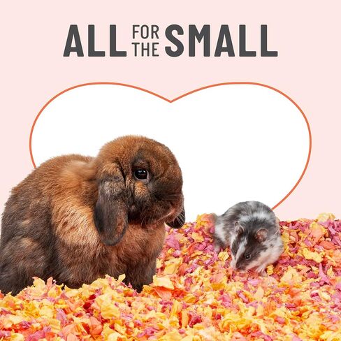 Kaytee Clean & Cozy Colors, Small Animal Bedding with Extreme Odor Control, Kaleidoscope, 49.2 Liters in Kuwait