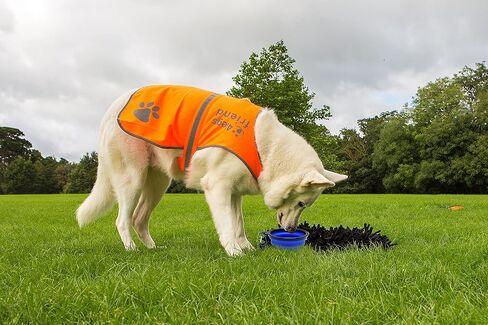 Set of 2 Collapsible Pet Bowls Small + Large with Carabiner Clips | BPA Free Food Grade Silicon 2 Pc Dog and Cat Expandable Travel Bowls | Bright Yellow, Pink and Black Pop Out Dog Bowls in Kuwait