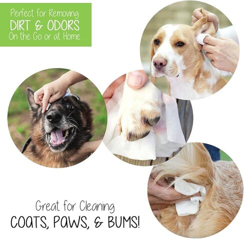 Pet Wipes (120 Count) - Extra Gentle Deodorizing Dog Grooming Wipes with Aloe Vera and Vitamin E, Alcohol Free - Fresh Scent (Live. Love. Wipe.) in Kuwait