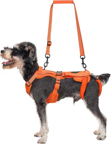 OneTigris Dog Lift Harness for Small Dogs XS, Dog Sling Carrier for Small Dogs to Help Lift and Walk, Outdoor Full Body Lift Harness with Reflective Straps, Dog Support Harness for Back Legs in Saudi Arabia