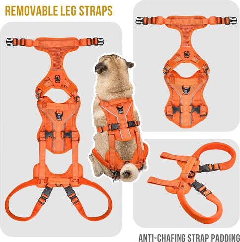 OneTigris Dog Lift Harness for Small Dogs XS, Dog Sling Carrier for Small Dogs to Help Lift and Walk, Outdoor Full Body Lift Harness with Reflective Straps, Dog Support Harness for Back Legs in Saudi Arabia