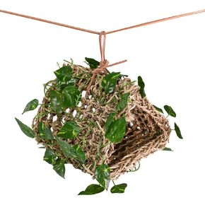 Penn-Plax Reptology for Bearded Dragons, Iguanas, and Other Reptiles - Easy to Hang (Hanging Hideout), Seagrass (REP708)