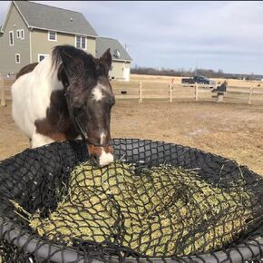 YardJoyliz Stock Tank Hay Net for 100-150 Gallon Stock Tank Slow Feeder Heavy Duty 1-4/7" Holes Water Trough Hay Net for Horses