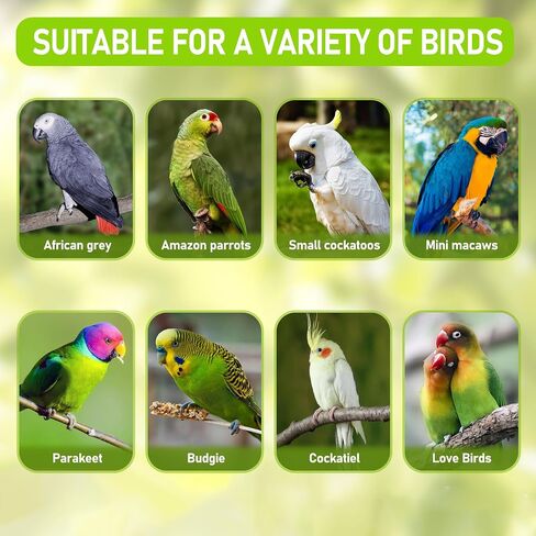 Mogoko Bird Toys, Large Parrot Toys, Natural Nuts Corn Cob Bird Chew Toys for Parrot, Parrots, Macaws, Cokatoos, Amazon Parrots, African Gray Cockatoos, Medium and Large-Sized Birds in Saudi Arabia