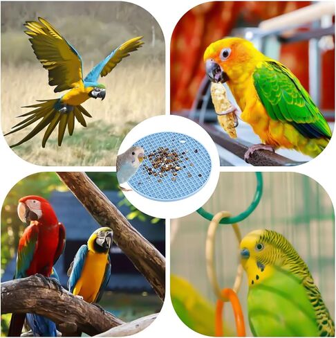 2pcs Bird Slow Feeder Mats, Parrot Foraging Toys Silicone Bird Slow Feeding Mat Interactive Bird Foraging Toys Puzzle for Pet Birds Cockatiel Parakeet Conure Budgies African Grey (Sky Blue) in Saudi Arabia