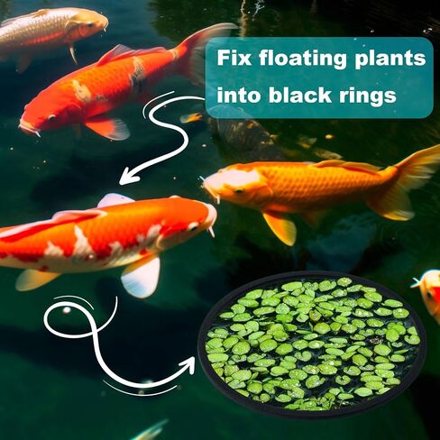 OIIKI 10 PCS Fish Feeding Rings Sets, Floating Aquarium Plant Corral, Black in Kuwait