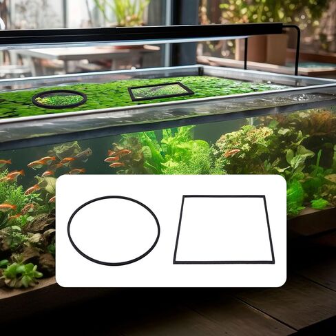 OIIKI 10 PCS Fish Feeding Rings Sets, Floating Aquarium Plant Corral, Black in Kuwait