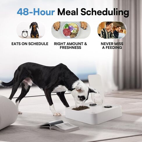 ALL FOR PAWS وحدة تغذية للكلاب موقوتة مع علبة ثلج - وجبة واحدة | موزع أغذية الحيوانات الأليفة الأوتوماتيكي | التحكم بالجزء | حافظ على طازجة | مثالية لجميع سلالات الكلاب (وجبة واحدة) in Saudi Arabia