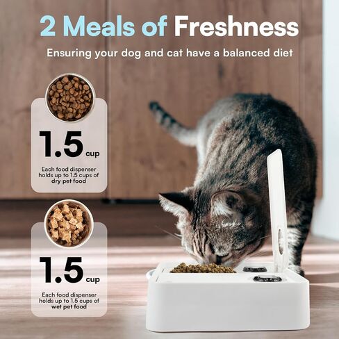 ALL FOR PAWS وحدة تغذية للكلاب موقوتة مع علبة ثلج - وجبة واحدة | موزع أغذية الحيوانات الأليفة الأوتوماتيكي | التحكم بالجزء | حافظ على طازجة | مثالية لجميع سلالات الكلاب (وجبة واحدة) in Saudi Arabia