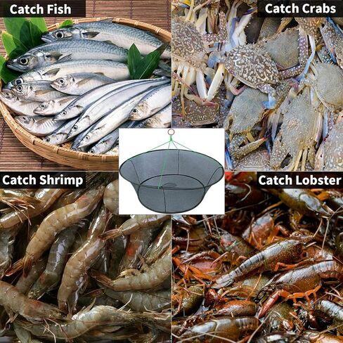 Round Fishing Bait Trap, Portable Folded Shrimp Fishing Nets, Nylon Mesh Net Fishing Equipment for Minnow Crab Crayfish Crawdad in Kuwait