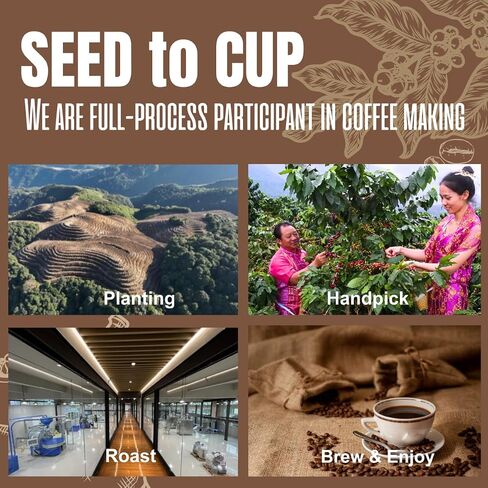HALI Whole Coffee Beans Espresso Medium Dark Roast Arabica Blend Fruit Drops Creamy Fruity Candy Sweety Hazelnut Flavor Fresh Roasted Coffee Beans Whole Acid Free Low Acid full Bodied Espresso Beans Whole Smooth Rich Taste Qiu Xu Autumn 2.2 Pound (2.2lb p in Saudi Arabia