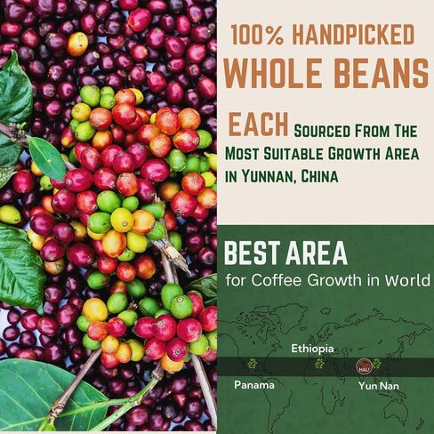 HALI Whole Coffee Beans Espresso Medium Dark Roast Arabica Blend Fruit Drops Creamy Fruity Candy Sweety Hazelnut Flavor Fresh Roasted Coffee Beans Whole Acid Free Low Acid full Bodied Espresso Beans Whole Smooth Rich Taste Qiu Xu Autumn 2.2 Pound (2.2lb p in Saudi Arabia