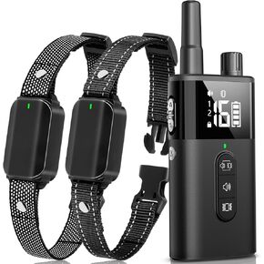 No Shock Dog Training Collar for 2 Dogs