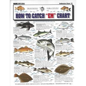 Fishermen's How to Catch 'Em Fish Identification Chart #2 (Saltwater)