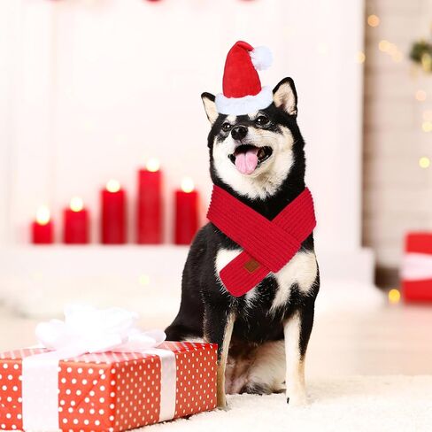 Christmas Dog Santa Hat and Scarf, Dog Christmas Outfit Adjustable Dog Christmas Hat Knitted Dog Christmas Scarf Holiday Dog Outfit for Small Medium Large Dogs Pets (Large) in Saudi Arabia