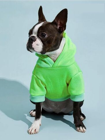 Small Dog Hoodie Security Pattern Puppy Dogs Sweatshirt Security Printed Boy Dog Hoodies Pet Sweatshirts in Saudi Arabia