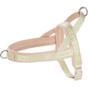Sport Harness,Easywalk No Pull Dog Harness for Small Medium Dogs,Stops Pets from Pulling and Choking,Adjustable,Soft,Comfortable Harness(Purple-s)