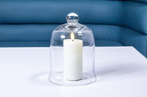 مجموعة أبوت 400-CLOCHE-729 Cloche، ارتفاع 10 بوصات، شفاف in Saudi Arabia