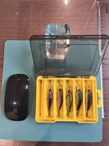 Lure Box for Fishing，Fishing Tackle Box(Black, L) in Saudi Arabia