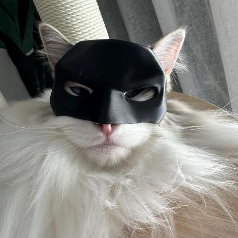 Bat Cat Mask for Cats, Batcat Mask, Bat Mask for Pet Cats, Catbat Mask For Cats, Cat Mask Halloween Customes in Saudi Arabia
