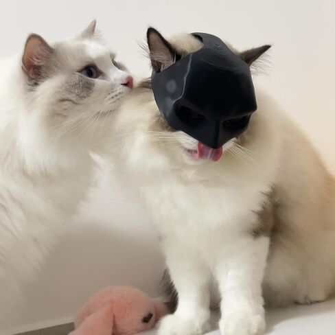 Bat Cat Mask for Cats, Batcat Mask, Bat Mask for Pet Cats, Catbat Mask For Cats, Cat Mask Halloween Customes in Saudi Arabia