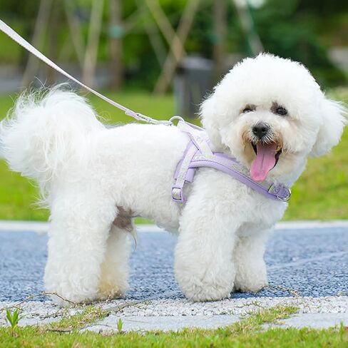 سرج رياضي، سرج Easywalk بدون سحب للكلاب الصغيرة والمتوسطة، يمنع الحيوانات الأليفة من السحب والاختناق، سرج قابل للتعديل وناعم ومريح (أرجواني) in Kuwait