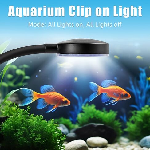 AQUANEAT Clip on Aquarium Light, Full Spectrum Small Aquarium Light for Nano Tank, Clip on Led Light Multi-Color in Saudi Arabia