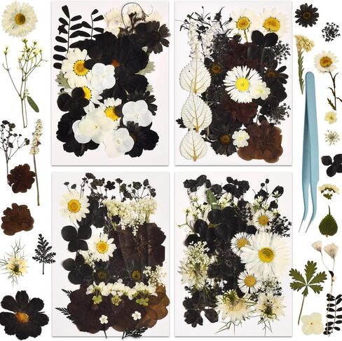 165Pcs Natural Pressed Dried Flowers Resin，Pressed Wildflowers，Real Natural Pressed Flowers for DIY Art Crafts,Epoxy Resin Jewelry Molds, Candle, Nails Décor, Craft Making,Coaster Making and More in Saudi Arabia