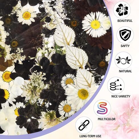 165Pcs Natural Pressed Dried Flowers Resin，Pressed Wildflowers，Real Natural Pressed Flowers for DIY Art Crafts,Epoxy Resin Jewelry Molds, Candle, Nails Décor, Craft Making,Coaster Making and More in Saudi Arabia