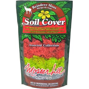 Mosser Lee ML3010 Green Reindeer Moss, 3 ounce