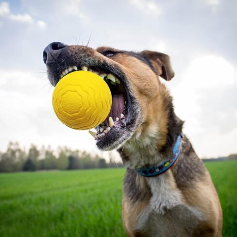 通用 Tough Dog Ball,Large Dog Balls for Aggressive chewers,Indestructible Tennis Ball for Medium Dog,Floating on Water Interactive Dog Toys Ball,Herding Ball for Dog(3.55in) 2pcs in Saudi Arabia