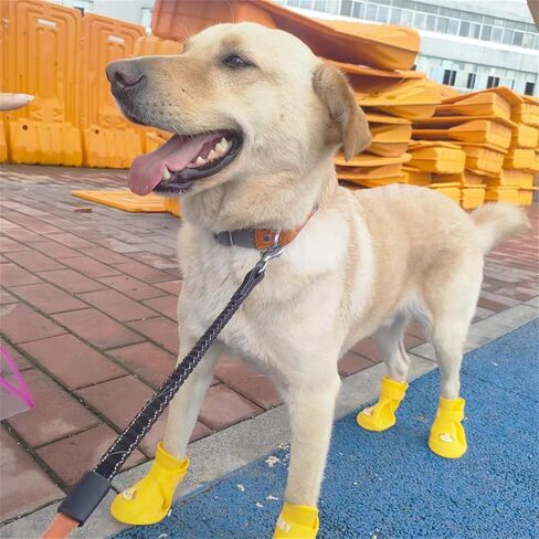 4Pcs Waterproof Dog Boots Dog Shoes for Snow and Rain Teddy Pomeranian Bichon Small Dogs Boot Size Runs Small Please Check The Size Carefully (Yellow, 2X-Large) in Saudi Arabia