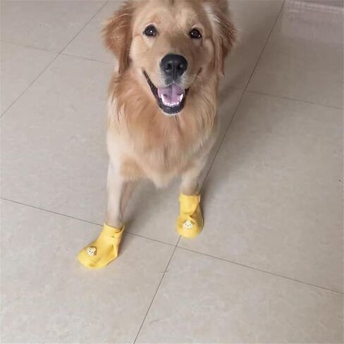 4Pcs Waterproof Dog Boots Dog Shoes for Snow and Rain Teddy Pomeranian Bichon Small Dogs Boot Size Runs Small Please Check The Size Carefully (Yellow, 2X-Large) in Saudi Arabia