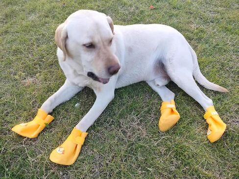 4Pcs Waterproof Dog Boots Dog Shoes for Snow and Rain Teddy Pomeranian Bichon Small Dogs Boot Size Runs Small Please Check The Size Carefully (Yellow, 2X-Large) in Saudi Arabia