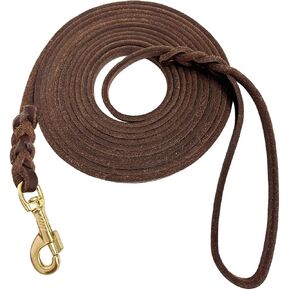 Guiding Star Extra Long Leather Leash for Dogs (15ft*3/8")