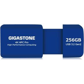 GIGASTONE Z80 1TB USB 3.2 Gen2 Solid State Drive, high Speed 1000MB/s, Capless Retractable Design Pen Drive, Carbon Fiber Style, Reliable & Durable, USB 2.0 / USB 3.0 / USB 3.1 Interface Compatible